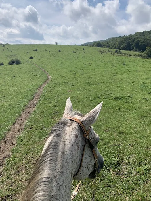 Rocky Hollow Horse Camp Picture 7