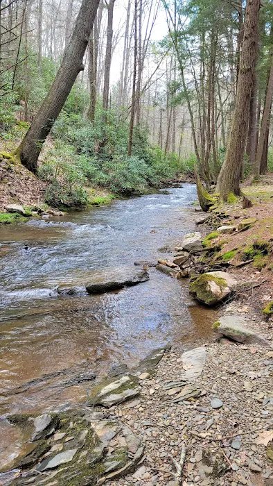 Hurricane Campground Picture 8