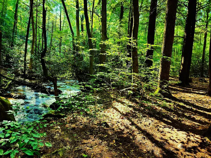 Hurricane Campground Picture 3