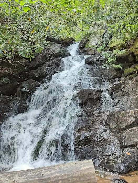 Hurricane Campground Picture 5