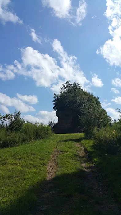 Pocahontas ATV Resort Picture 4