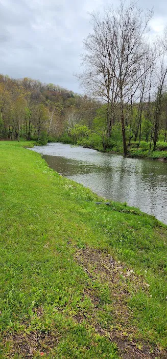 Riverfront ATV Resort Picture 4