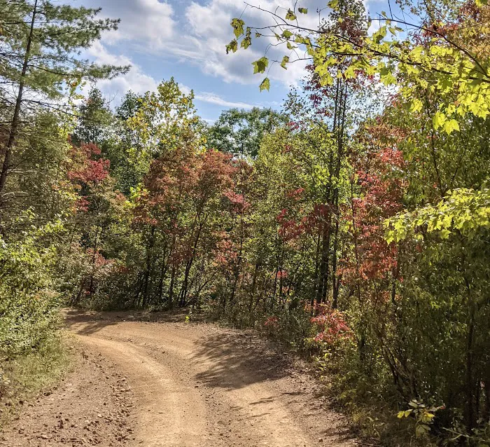 Riverfront ATV Resort Picture 2