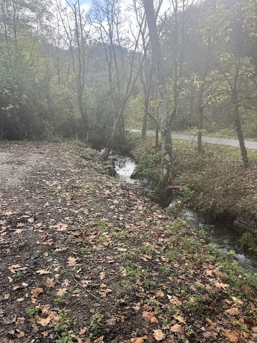 Elkhorn Creek Campground Picture 5