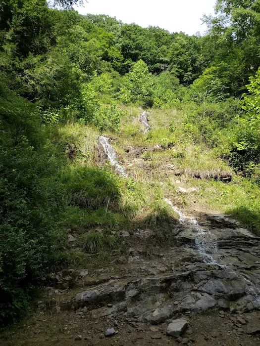 Pinnacle Creek ATV Campground Picture 6