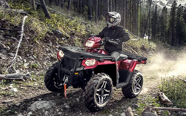 Wild Willy's ATV Rezort, Parts, Repair & Rentals Picture 8