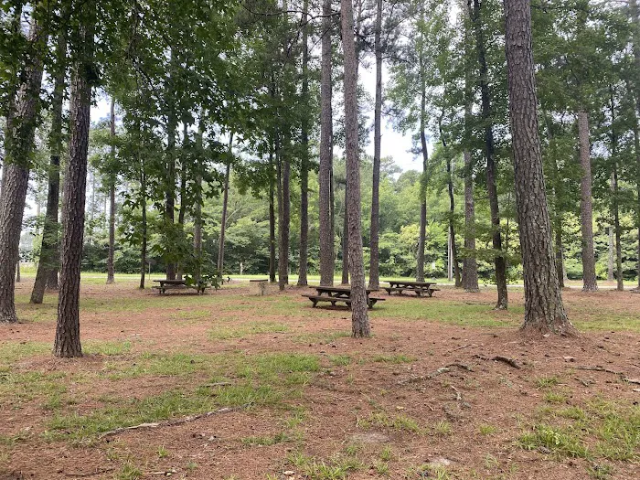 Seymour Johnson AFB Campground Picture 4