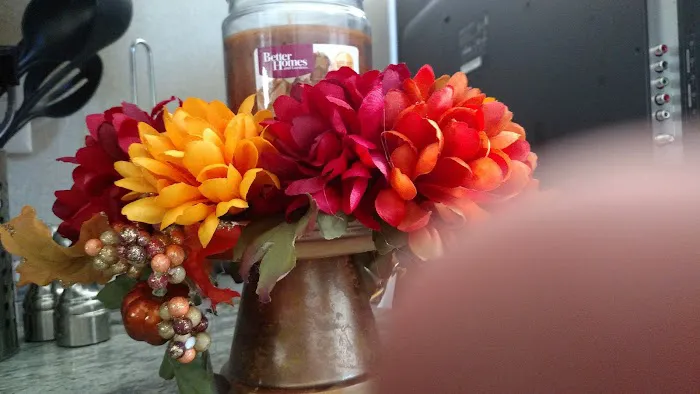 Virginia Creek Campground Picture 7