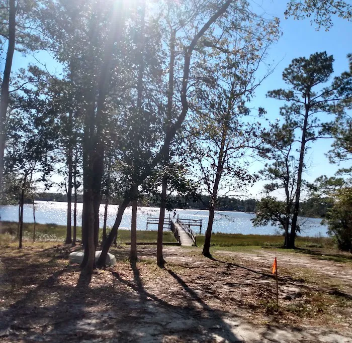 Virginia Creek Campground Picture 10