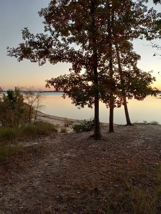 Camping Area A Picture 6