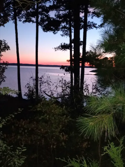 Camping Area A Picture 8