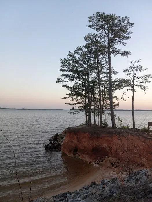 Camping Area A Picture 1