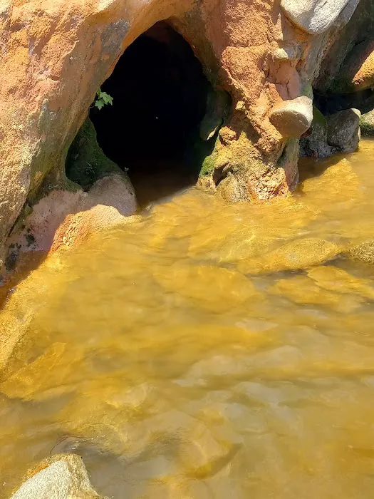 Camping Area A Picture 4