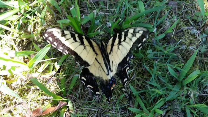 US Ranger Station Picture 2