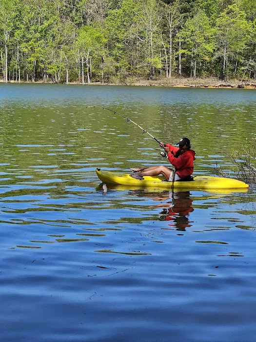 Henderson Point Campground Picture 6