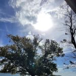 Henderson Point Campground