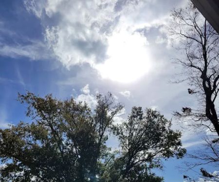 Henderson Point Campground