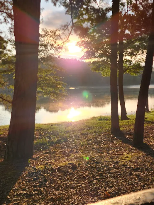 Kerr Lake State Park, Hibernia Group Area Picture 6