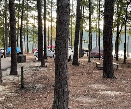 Satterwhite Group Campground