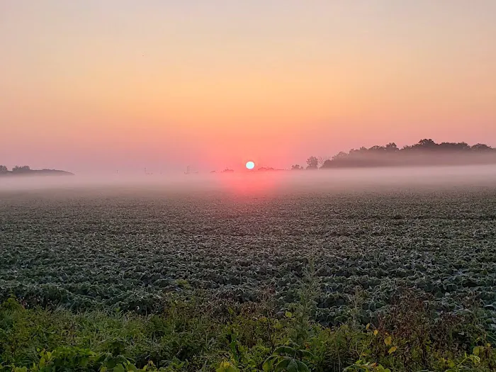 Fire Lake Campground Picture 2