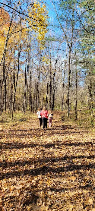 Van Buren State Park Campground Picture 10