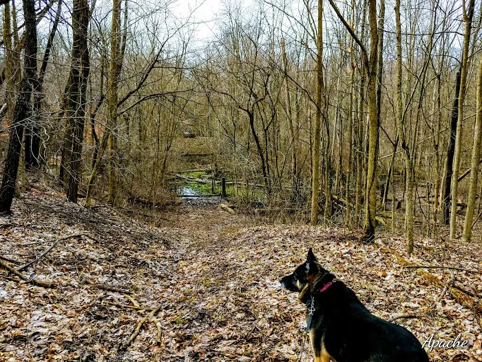 Van Buren State Park Campground Picture 5