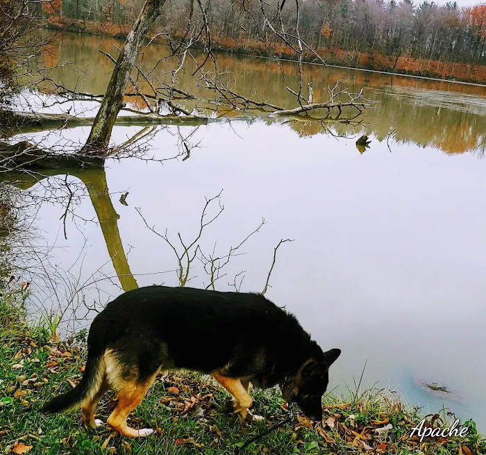 Van Buren State Park Campground Picture 9