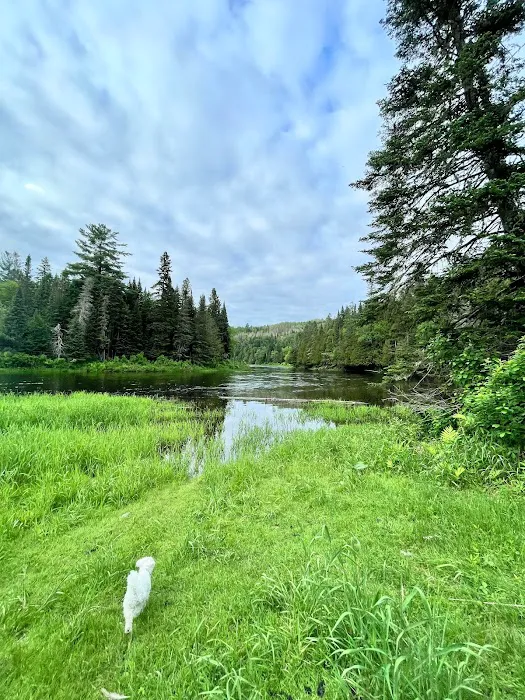 Junction 19 & Company Campground - RV Park, Tent Sites and Boat Launch Picture 10