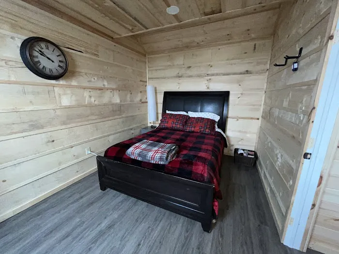 Eagle Eye Cabin Rental Picture 3