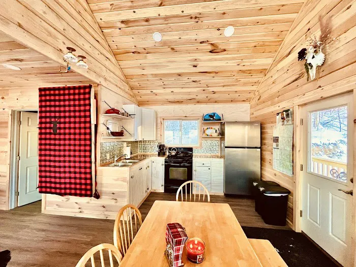 Eagle Eye Cabin Rental Picture 5