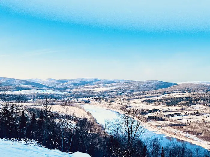 Eagle Eye Cabin Rental Picture 7