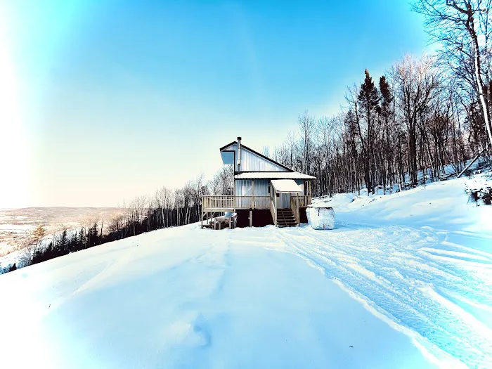 Eagle Eye Cabin Rental Picture 6