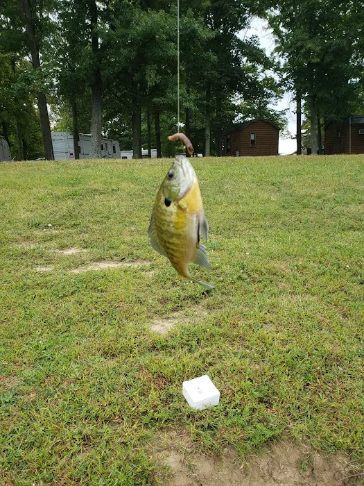 Twin Lakes Park Picture 9