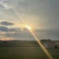 Buckley Family Farm ico