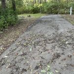 Campsite 35 (Electric Only)