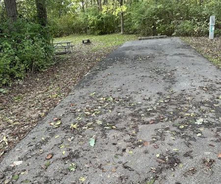 Campsite 35 (Electric Only)