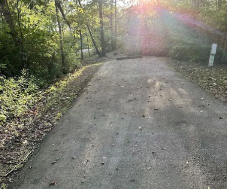 Campsite 33 (Electric Only)