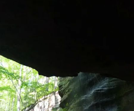 Hummingbird Lodge at Big Pine Retreat