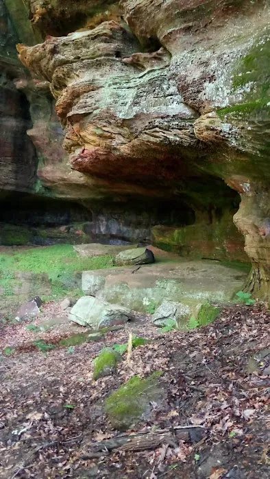 Hummingbird Lodge at Big Pine Retreat Picture 2