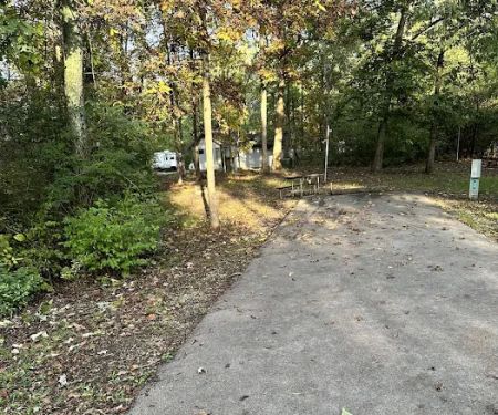 Campsite 44 (Electric Only)