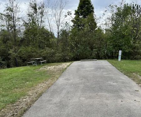 Campsite 169 (Electric Only)