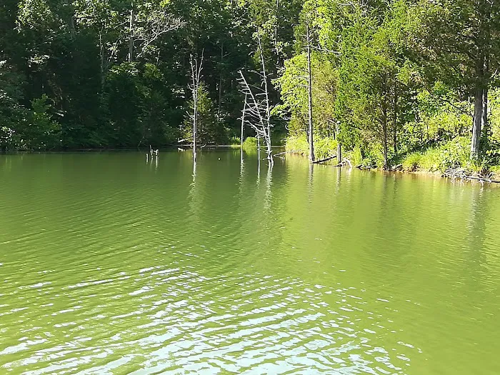 Mineral Springs Lake Resort Picture 1