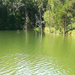 Mineral Springs Lake Resort