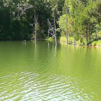 Mineral Springs Lake Resort ico