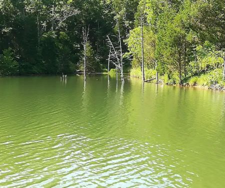 Mineral Springs Lake Resort