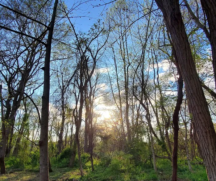 Sandy Springs Campground Picture 6