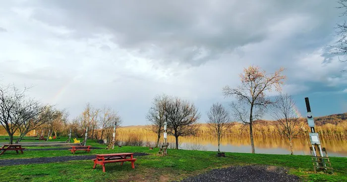 Sandy Springs Campground Picture 8