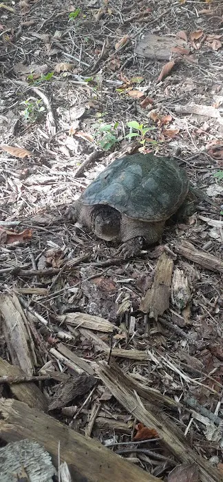 Gordleys Creekside Picture 5