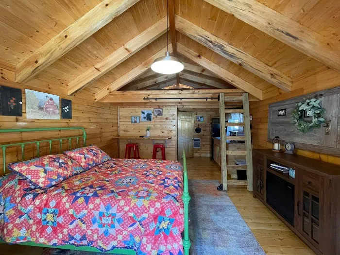 Hillbilly Heaven Campground Picture 10