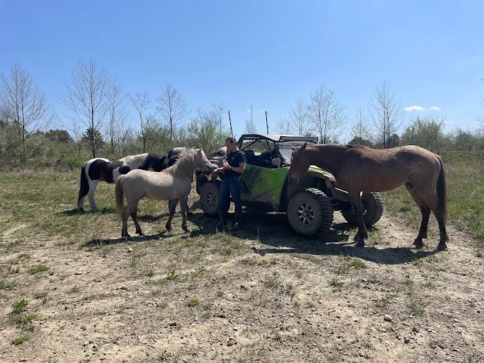 Hillbilly Heaven Campground Picture 1